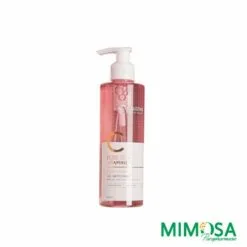 ALANIA PURETE+ VITAMINE C GEL NETTOYANT 250ML