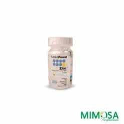 KENKO POWER zinc 60 gelules