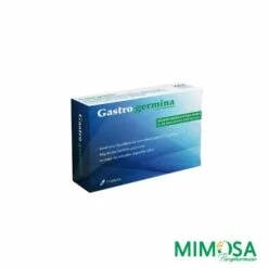 Xen Gastro germina 7 gélules