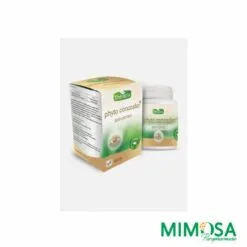 THERAPIA PHYTO CONCEALER GEL BT 60