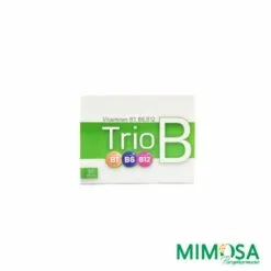 Xen Trio B 30 Gélules