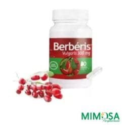 BERBERIS VULGARIS 300MG 60 GELULES