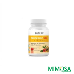 BIOHERBS BERBERINE 98% 60 GELULES