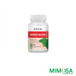 BIOHERBS GINKGO BILOBA EXTRAIT 60 GELULES