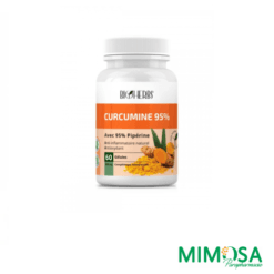 BIOHERBS CURCUMINE 95% 60 GELULES