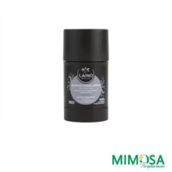 LAINO MASQUE VISAGE DETOX STICK 65GR