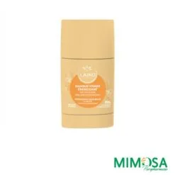 LAINO MASQUE VISAGE ENERGISANT STICK 65GR