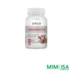BIOHERBS HARPAGOPHYTUM 60 GELULES
