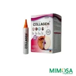 CASTOR BOOSTER COLLAGEN 12 SHOTS DE 15ML